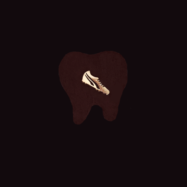 Joyería dental D10S - Image 5