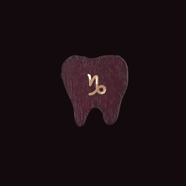 Joyería dental Astro - Image 12