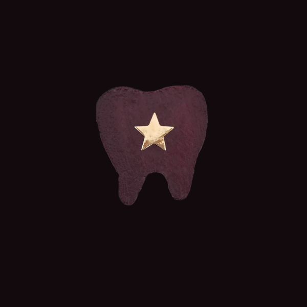 Joyería dental D10S - Image 3