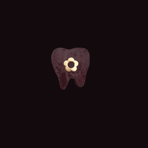 Joyería dental Cute
