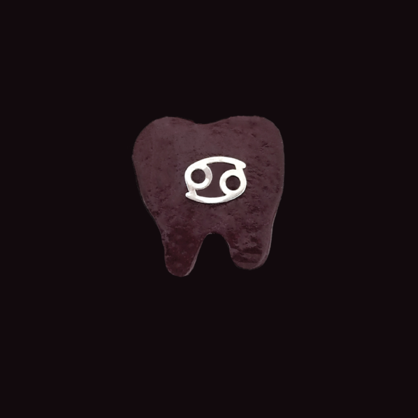 Joyería dental Astro - Image 27