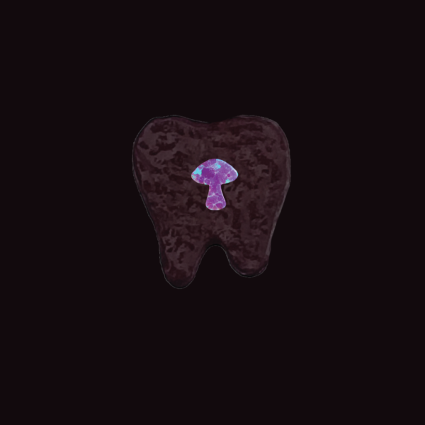 Joyería dental Ópalo - Image 3